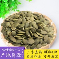 南瓜子仁 散裝生原味現(xiàn)貨烘培酥糖原料生瓜子無殼南瓜子仁500g