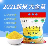 現(xiàn)貨2021年新米赤峰天山大金苗黃小米農(nóng)家精選五谷雜糧食品