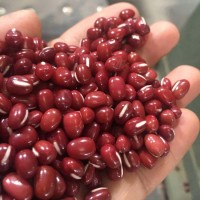 農(nóng)安紅紅豆可商檢可出口5.5mm大顆粒拋光出口級(jí)高標(biāo)準(zhǔn)紅小豆