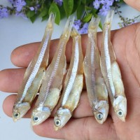 銀魚仔秋刀毛魚刀干咸魚干海燕魚干擺地?cái)傯~新貨公魚干白凡魚飯