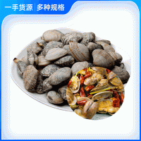 連云港花蛤貝類水產(chǎn)批發(fā) 海鮮花甲 鮮活花蛤無(wú)沙 冰鮮海產(chǎn)品大連