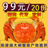 【一件代發(fā)】陽澄湖大閘蟹螃蟹卡禮券微商引流地推爆款禮物贈品