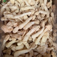 福建竹蓀干貨煲湯食材本色新貨菌湯包食材
