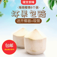 包郵文昌工廠直供海南椰子熱帶椰青9.6.4個(gè)裝青椰甘甜爽口優(yōu)選種