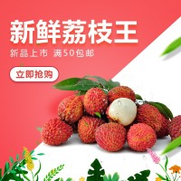 順豐空運(yùn)海南荔枝王5斤裝超大甜新鮮火山荔枝當(dāng)季水果妃子笑包郵