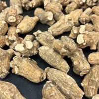 西洋參花旗參10克粒優(yōu)選粒頭