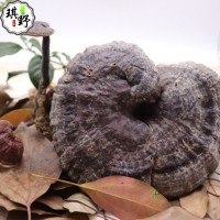 中草藥產(chǎn)地一手貨源中藥材滋補(bǔ)品 四川土特產(chǎn) 靈芝批發(fā)