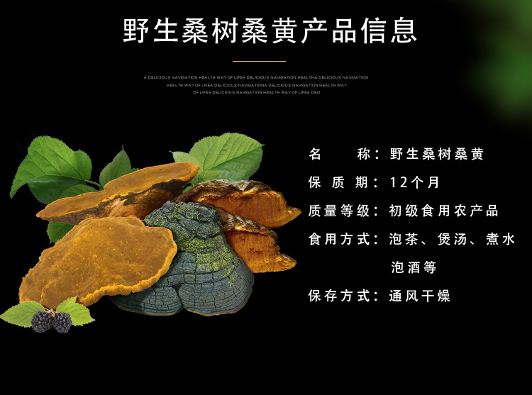 桑黃（琪）_06