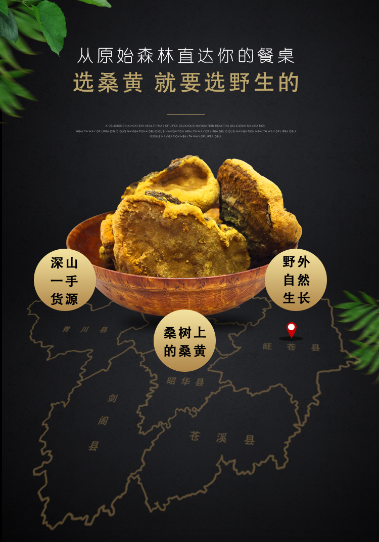 桑黃（琪）_03