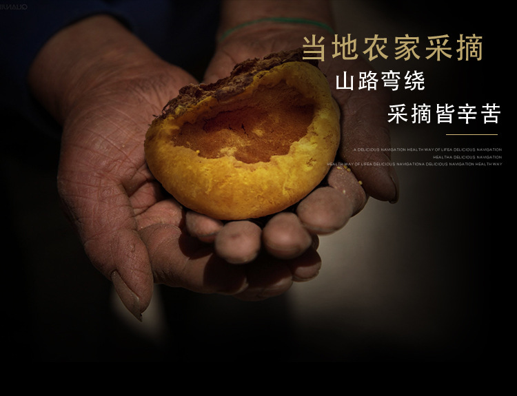 桑黃（琪）_08