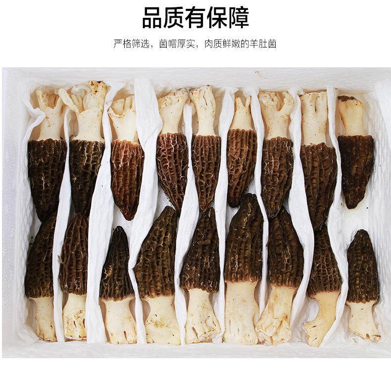 新鮮羊肚菌詳情頁(yè)_07