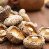 【廠家直供】新貨特產干香菇金錢菇500g散裝 金錢菇食用菌干貨