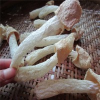 青川高山竹蓀 竹蓀 長(zhǎng)裙 嫩蓀 干貨 竹笙竹蓀蛋 食用菌批發(fā)