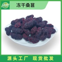 源頭工廠散裝批發(fā) FD凍干桑葚 大粒無沙桑葚干沖泡即食水果脆