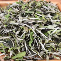 廠家批發(fā) 2022年福鼎白茶磻溪高山白牡丹王散裝春茶日曬茶葉500g