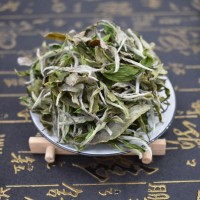 2022年福鼎白茶頭春白牡丹高山散茶花香味新茶500g 廠家批發(fā)