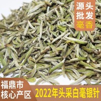 2022年頭采白毫銀針福鼎白茶新茶太姥山脈磻溪茶葉毫香散茶批發(fā)