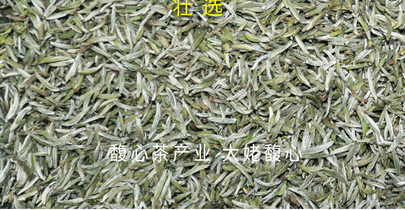 2022年頭采銀針-fx_05.jpg
