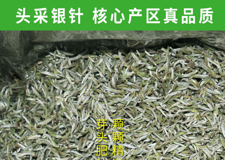 2022年頭采銀針-fx_04.jpg