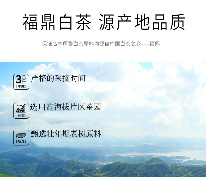 2022年頭采銀針-fx_06.jpg