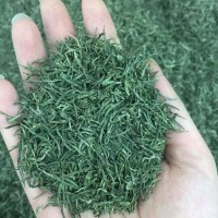 2022新茶葉綠茶 散裝毛尖 日照高山云霧 一件代發(fā)廠家 茶葉香茶