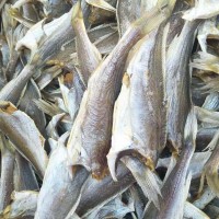 新貨小黃魚(yú) 東海黃花魚(yú)干500g 小黃魚(yú)干 連云港海鮮干貨批發(fā)