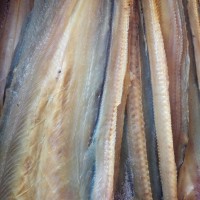 廠家批發(fā)海鮮干貨大鰻魚(yú)魚(yú)干漁家自曬當(dāng)季新貨淡曬海鰻干