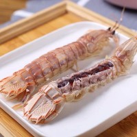 連云港蝦姑批發(fā)鮮活熟凍帶膏母皮皮蝦 蝦姑 燒烤酒店食材富貴蝦