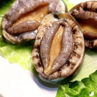 冷凍鮑魚批發(fā) 一手貨源鮑魚批發(fā)鮮活速凍鮑魚500g可代發(fā)分銷