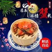 鮮活大閘蟹 公母隨機(jī) 水產(chǎn)現(xiàn)貨 螃蟹批發(fā)一件代發(fā)