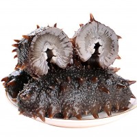 【加工定制】即食海參深海大連遼參500g非淡干即食免泡發(fā)海參