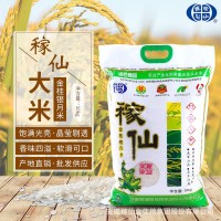 自家產(chǎn)地稼仙大米金桂銀月米10kg家庭裝米粒飽滿(mǎn)光亮南方大米現(xiàn)貨