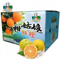 湖北長(zhǎng)陽柑姑娘夏橙9斤彩箱裝 新鮮應(yīng)季不打臘水果 產(chǎn)地現(xiàn)摘現(xiàn)發(fā)