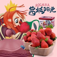 云南茜婭陽光草莓現(xiàn)摘現(xiàn)發(fā)新鮮當(dāng)季水果大草莓新年年貨禮盒裝大果