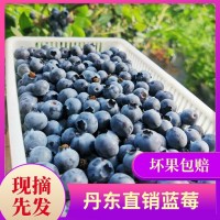 丹東藍(lán)莓鮮果現(xiàn)摘現(xiàn)發(fā)水果藍(lán)莓孕婦寶寶輔食當(dāng)季順豐空運(yùn)箱裝藍(lán)莓
