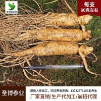 批發(fā)鮮人參吉林產(chǎn)地貨源長(zhǎng)白山人參各種規(guī)格園參低價(jià) 鮮參廠家