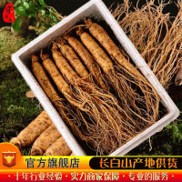 【新鮮人參】長白山人參批發(fā) 產(chǎn)地直供 東北特產(chǎn) 鮮人參 泡酒煲湯