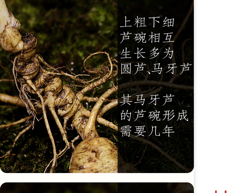 未標(biāo)題-1_11.jpg