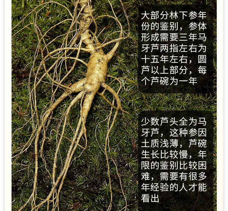 未標(biāo)題-1_06.jpg