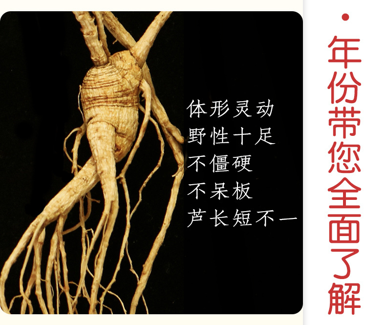 未標(biāo)題-1_13.jpg