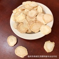 東北大貨 長白山 西洋參切片 花旗參 西洋參片 西洋參 各種規(guī)格