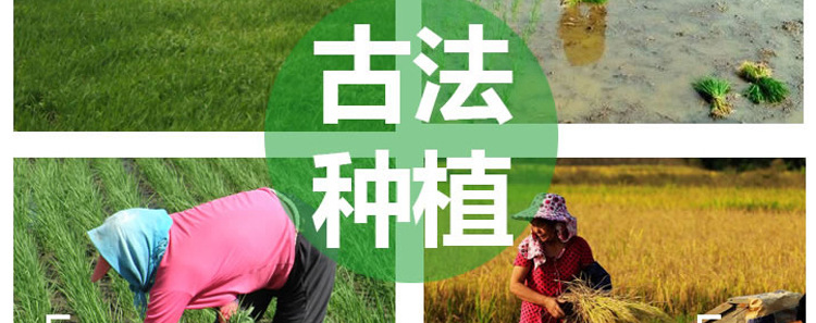 未標題-1_008
