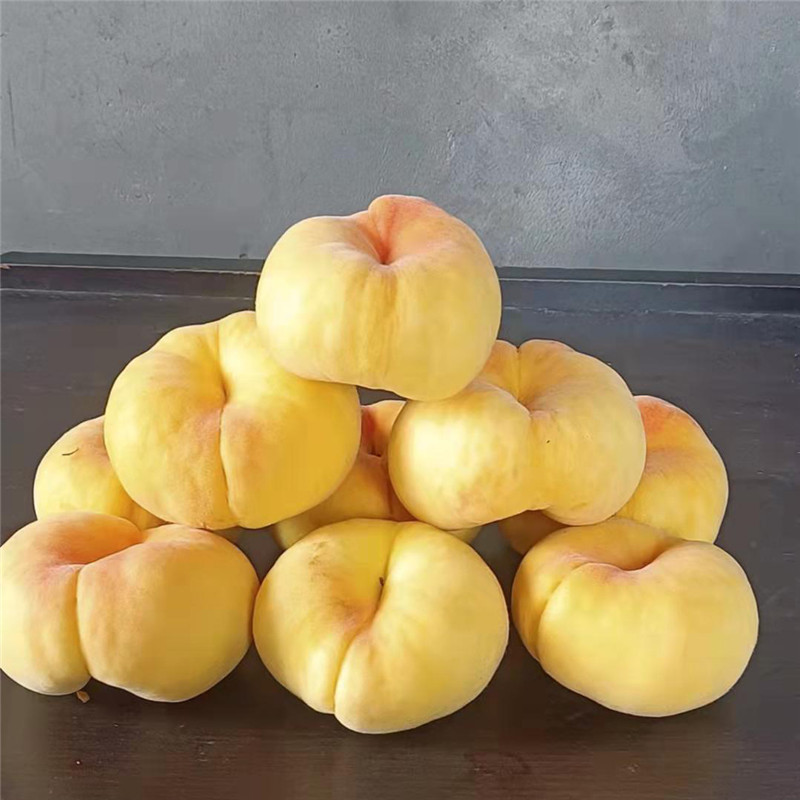 微信圖片_20211026124636
