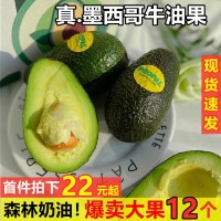 墨西哥牛油果新鮮大果進(jìn)口鱷梨當(dāng)季寶寶孕婦水果整箱批發(fā)一件代發(fā)