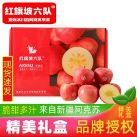 新疆阿克蘇冰糖心蘋果紅旗坡六隊特級禮盒裝【2022年11月發(fā)貨】