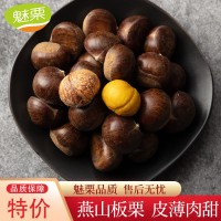 魅栗【燕山板栗批發(fā)】2020遷西板栗3113批發(fā)100斤產地發(fā)貨