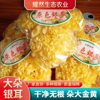 原色銀耳廠家自銷 古田特產(chǎn)干貨銀耳 食用菌干貨銀耳批發(fā)