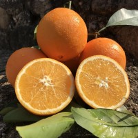 湖北秭歸臍橙倫晚橙春橙新鮮水果9斤當(dāng)季整箱手剝冰糖甜橙臍橙
