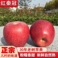 正宗陜西秦冠蘋果粉面沙甜老樹紅香蕉丑蘋果應(yīng)季水果整箱非冰糖心