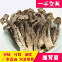 鹿茸菇批發(fā) 干貨鹿茸菌 粗條大條鹿茸菇菌菇食材500g